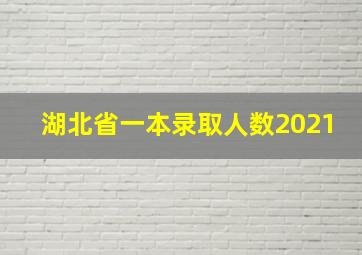 湖北省一本录取人数2021