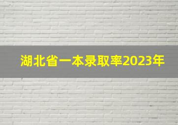 湖北省一本录取率2023年