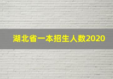 湖北省一本招生人数2020