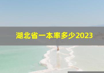 湖北省一本率多少2023