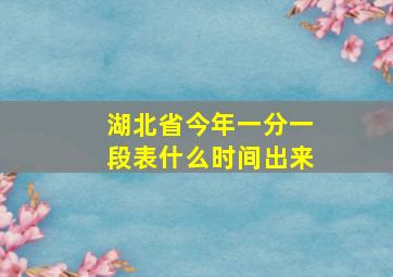 湖北省今年一分一段表什么时间出来