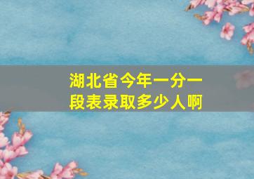 湖北省今年一分一段表录取多少人啊