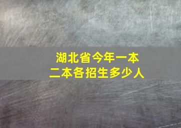 湖北省今年一本二本各招生多少人