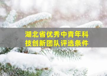 湖北省优秀中青年科技创新团队评选条件