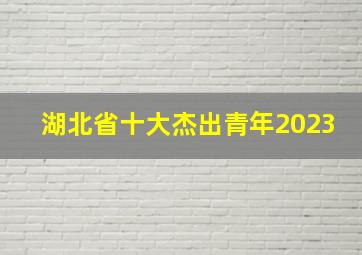 湖北省十大杰出青年2023