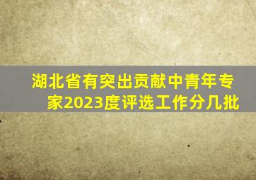 湖北省有突出贡献中青年专家2023度评选工作分几批