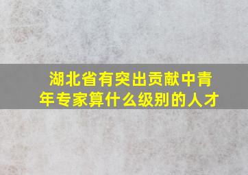 湖北省有突出贡献中青年专家算什么级别的人才