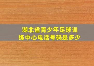 湖北省青少年足球训练中心电话号码是多少