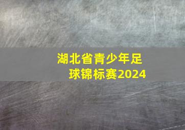 湖北省青少年足球锦标赛2024