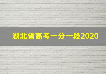 湖北省高考一分一段2020