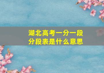 湖北高考一分一段分段表是什么意思