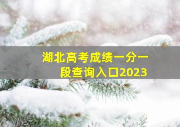 湖北高考成绩一分一段查询入口2023