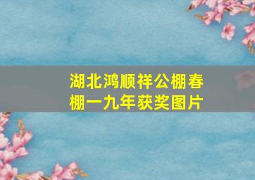 湖北鸿顺祥公棚春棚一九年获奖图片