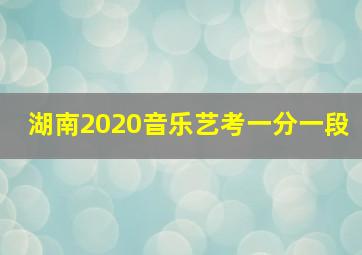 湖南2020音乐艺考一分一段