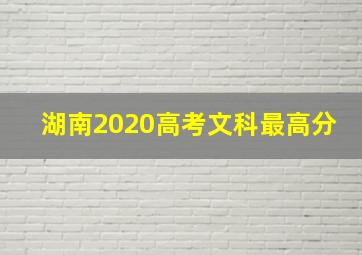 湖南2020高考文科最高分