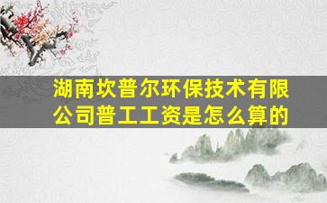 湖南坎普尔环保技术有限公司普工工资是怎么算的