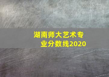 湖南师大艺术专业分数线2020