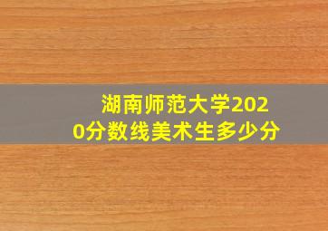 湖南师范大学2020分数线美术生多少分