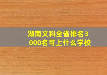 湖南文科全省排名3000名可上什么学校