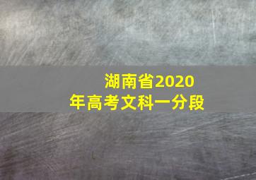 湖南省2020年高考文科一分段