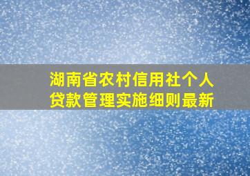 湖南省农村信用社个人贷款管理实施细则最新