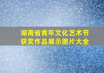 湖南省青年文化艺术节获奖作品展示图片大全