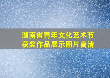 湖南省青年文化艺术节获奖作品展示图片高清