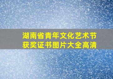 湖南省青年文化艺术节获奖证书图片大全高清