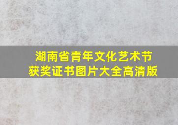 湖南省青年文化艺术节获奖证书图片大全高清版