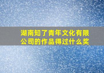 湖南知了青年文化有限公司的作品得过什么奖