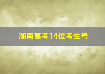 湖南高考14位考生号