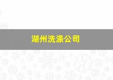 湖州洗涤公司