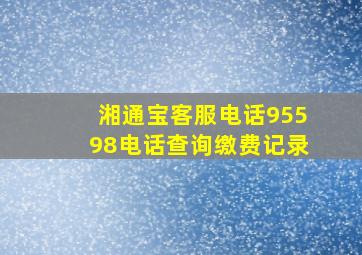 湘通宝客服电话95598电话查询缴费记录