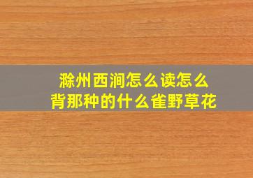 滁州西涧怎么读怎么背那种的什么雀野草花