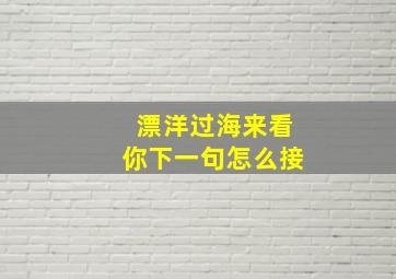 漂洋过海来看你下一句怎么接