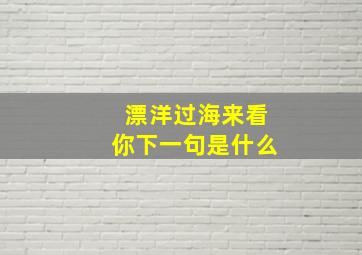 漂洋过海来看你下一句是什么