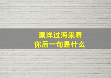 漂洋过海来看你后一句是什么