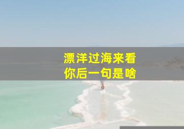 漂洋过海来看你后一句是啥