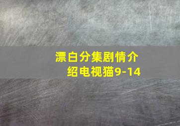 漂白分集剧情介绍电视猫9-14