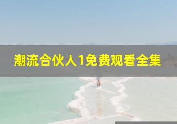 潮流合伙人1免费观看全集