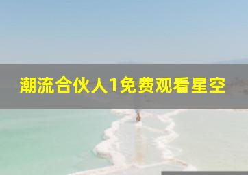 潮流合伙人1免费观看星空