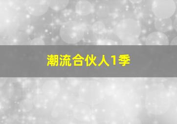 潮流合伙人1季