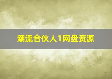 潮流合伙人1网盘资源