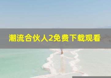 潮流合伙人2免费下载观看