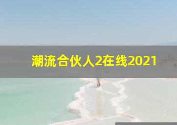 潮流合伙人2在线2021