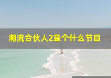 潮流合伙人2是个什么节目