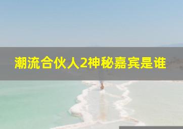 潮流合伙人2神秘嘉宾是谁