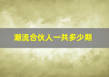 潮流合伙人一共多少期