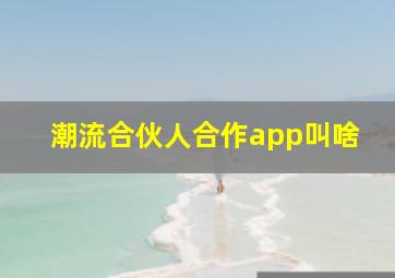 潮流合伙人合作app叫啥