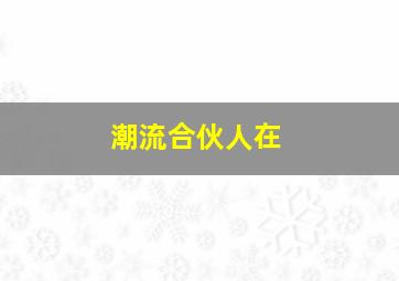 潮流合伙人在